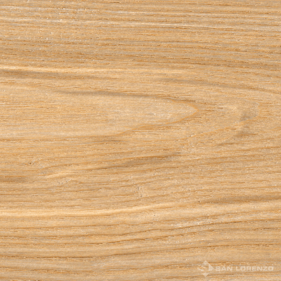 PALMERA NATURAL 20X120