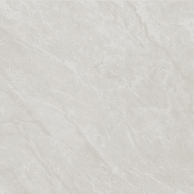REGINA PLATA 45X45