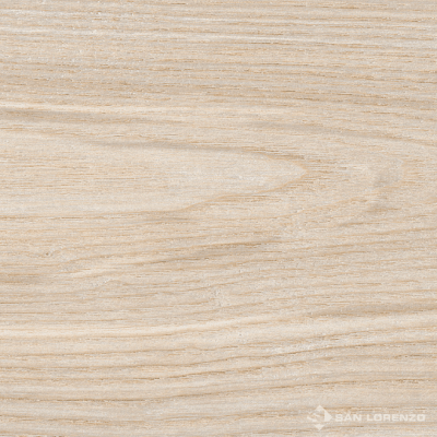 PALMERA HUESO 20X120