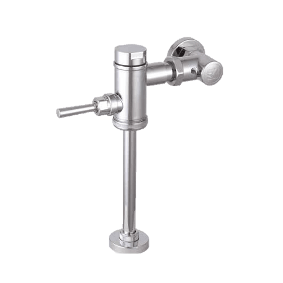 FLUX MEC URIN DESC INDIR PALAN ESP CR1