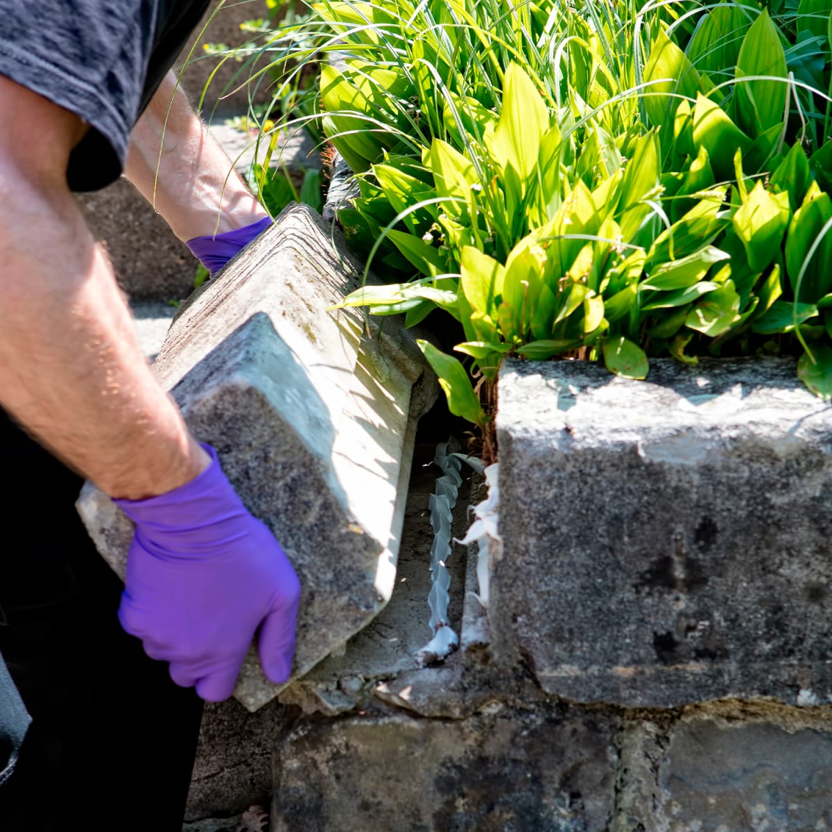 SIKAFLEX 118 EXTREME GRAB X 290 ML3