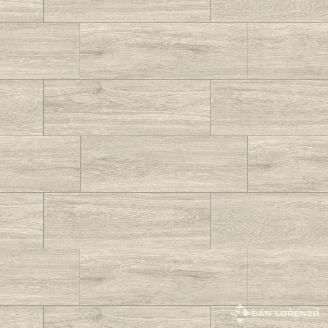 ALAMO GRIS BRILLANTE 20X613