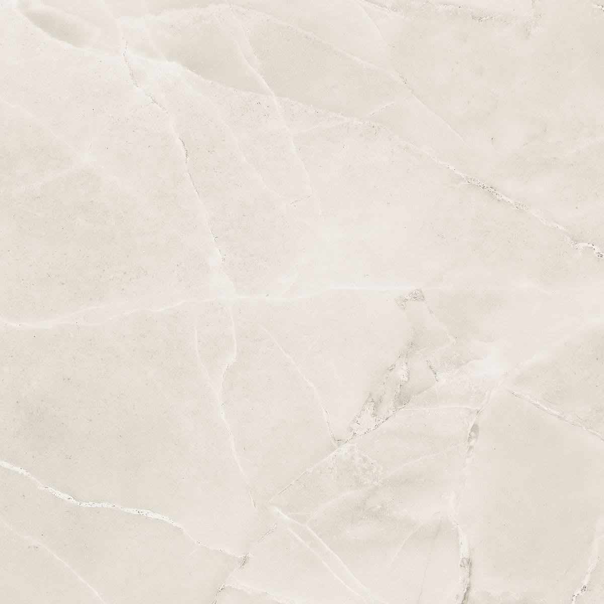 SIENA GRIS 60X601