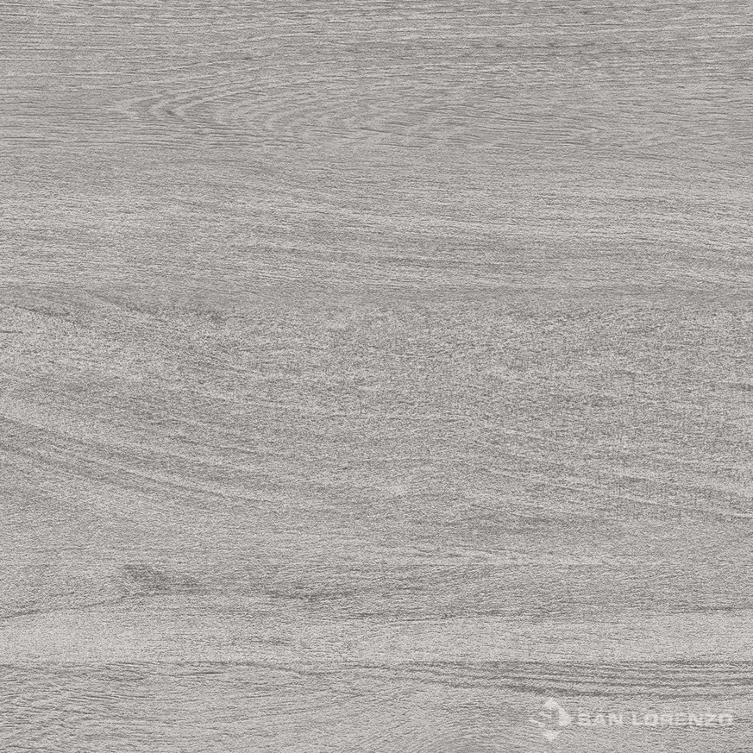 PORCELANATO GARDE 60X601