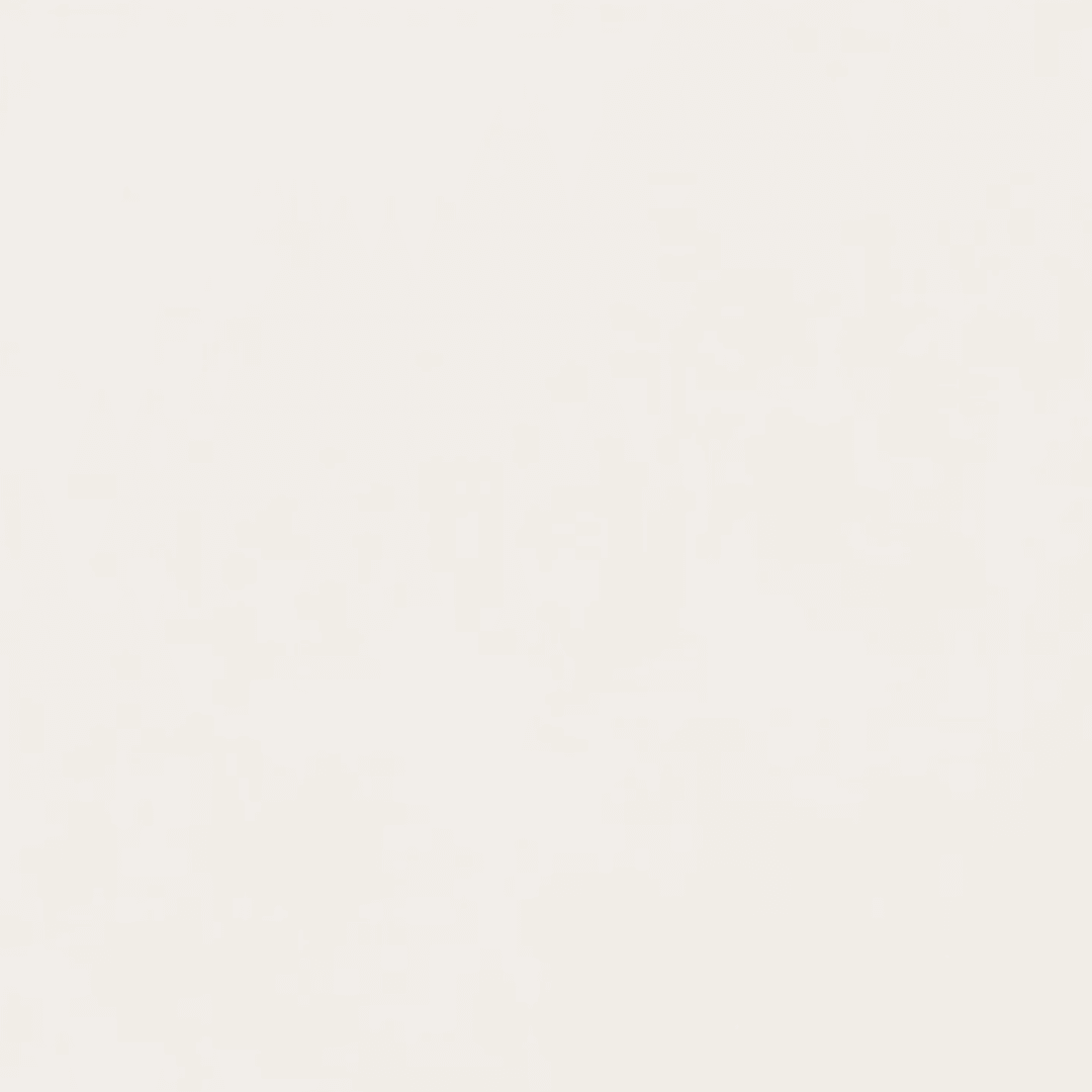 I & O PORCELANATO PULIDO WHITE MEDIO 60X603