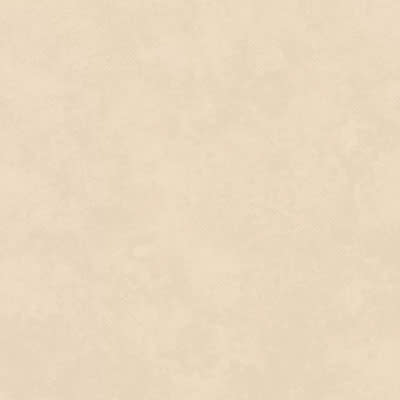 BOSTON MARFIL 45X451