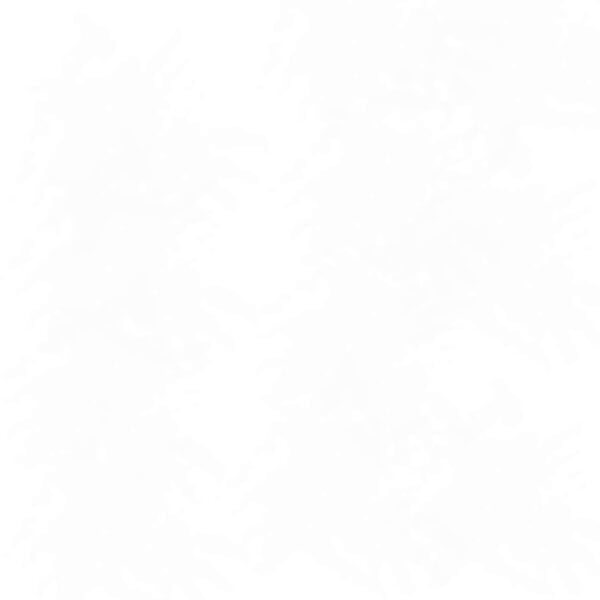 BLANCO MISTI (UNI) 45X451