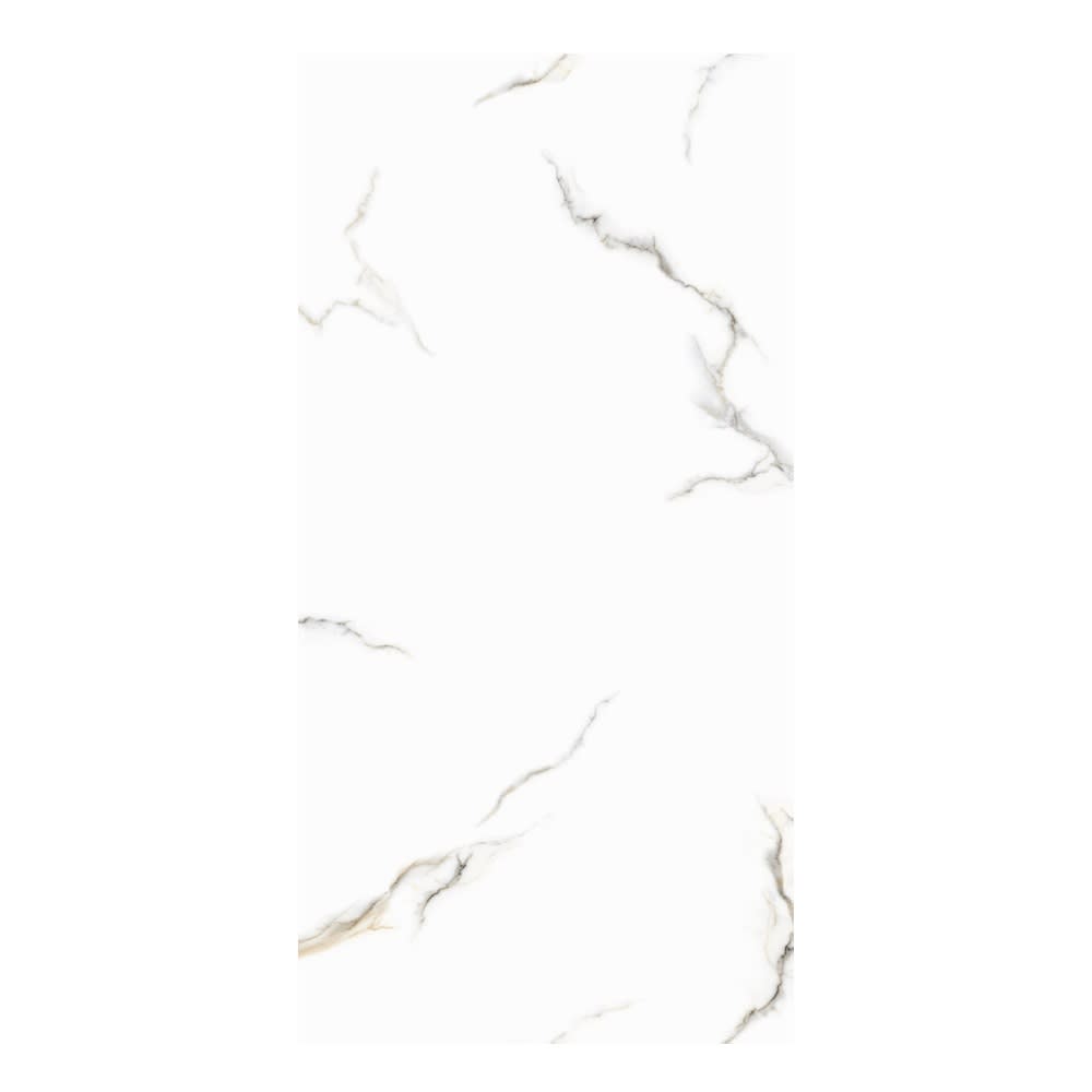 PORCELANATO STATURIO 60X1.201