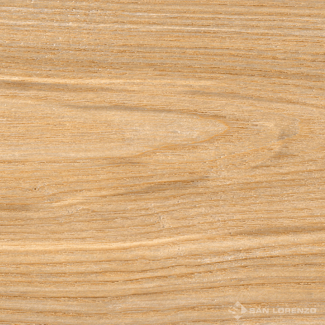 PALMERA NATURAL 20X1201