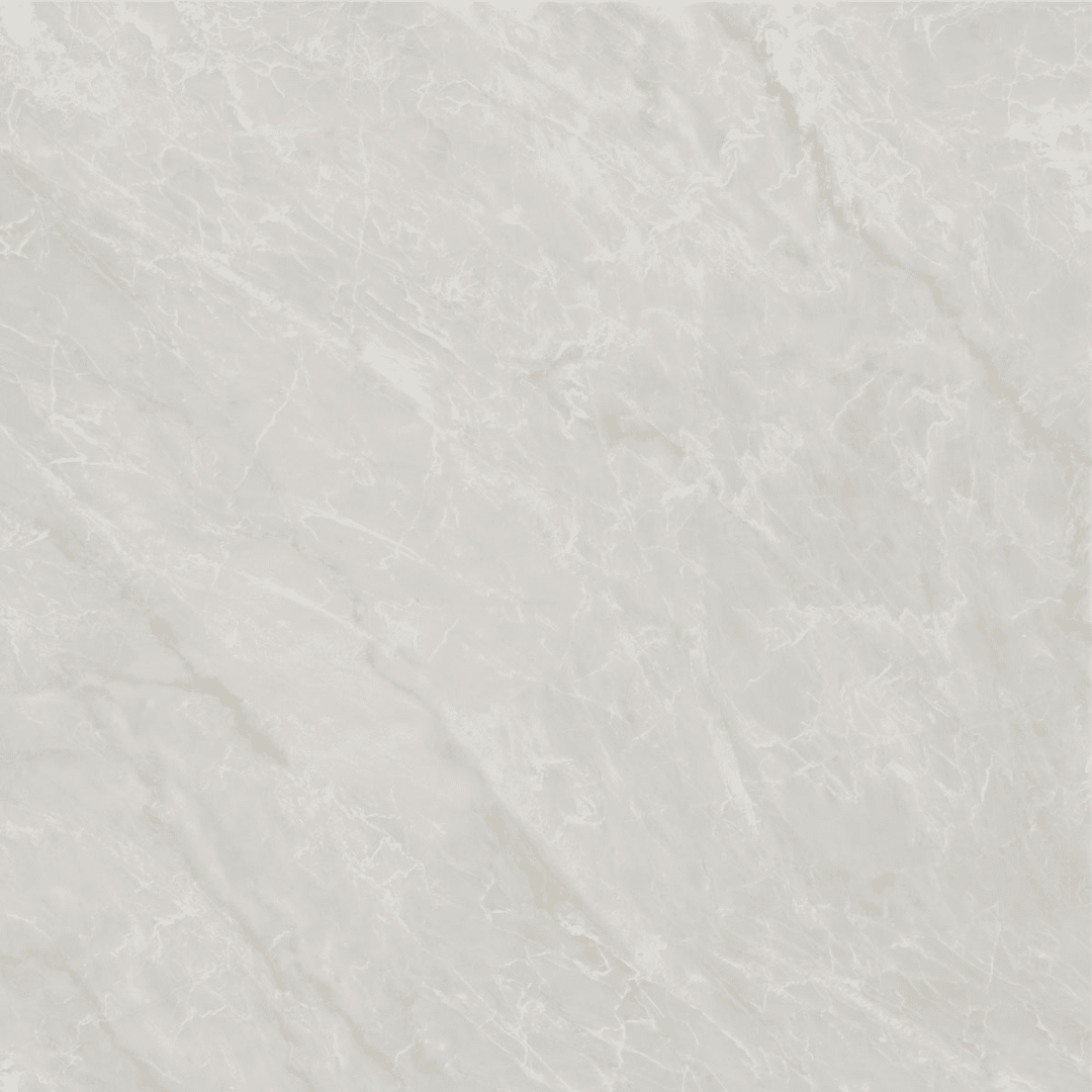 REGINA PLATA 45X451