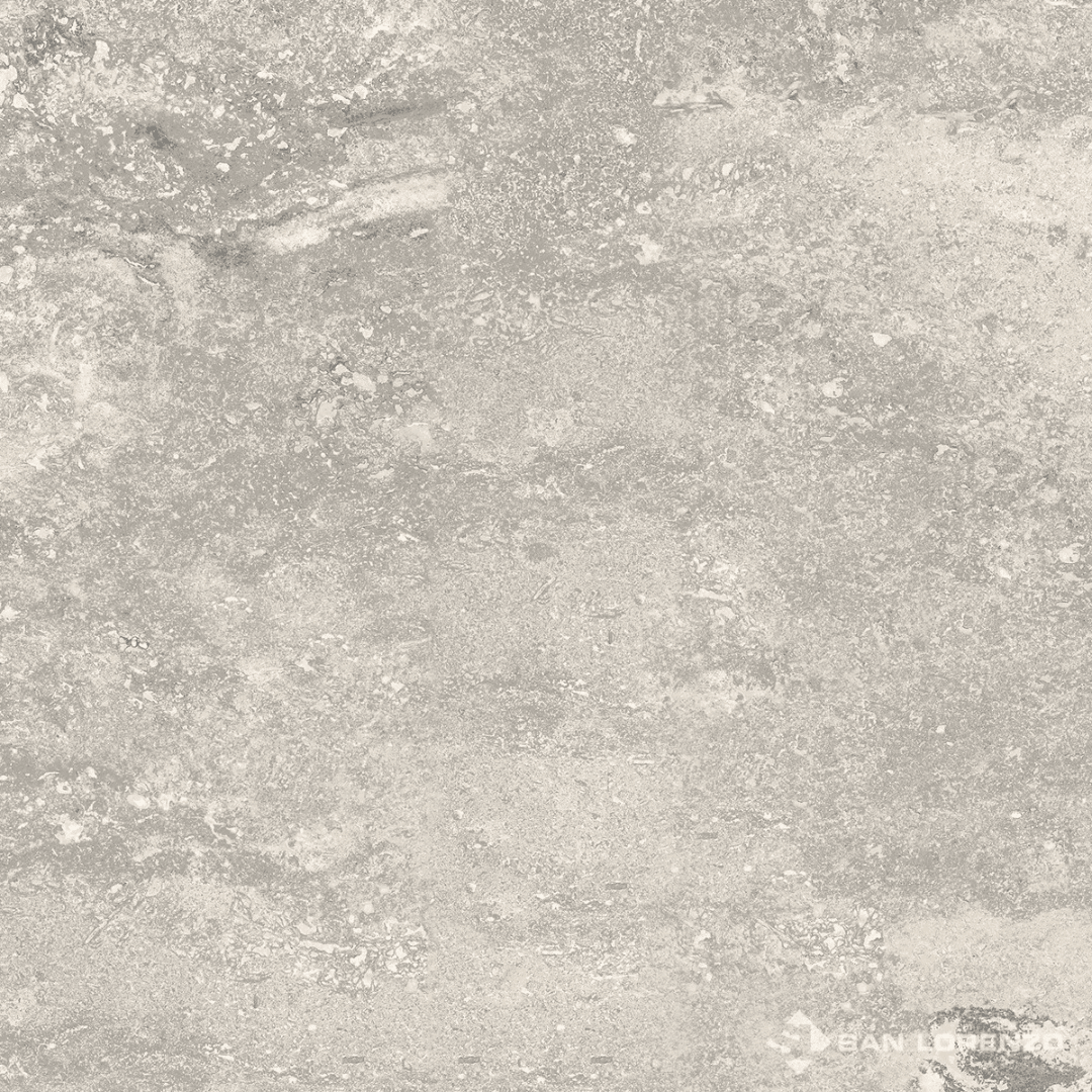 BUD GRIS 60X601