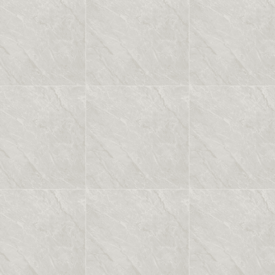 REGINA PLATA 45X453