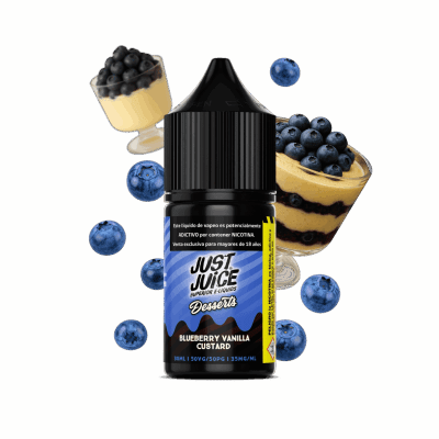 Just Juice Blueberry Vanilla Custard Salt 30ML - Crema y Arándanos2
