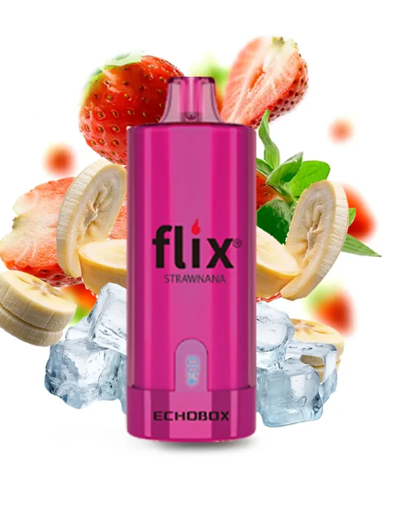 Flix Echobox 12000 Puffs2