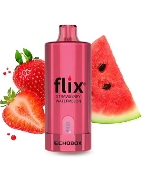 Flix Echobox 12000 Puffs3