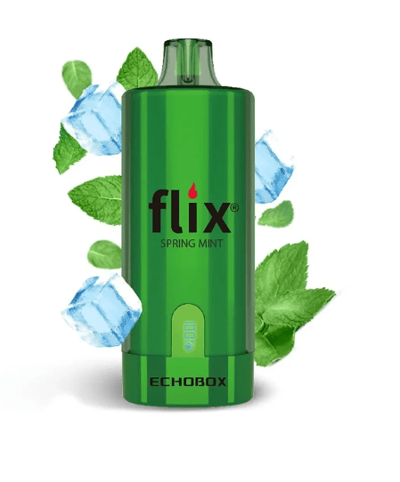 Flix Echobox 12000 Puffs4