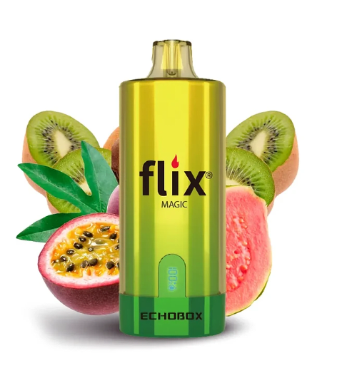 Flix Echobox 12000 Puffs5