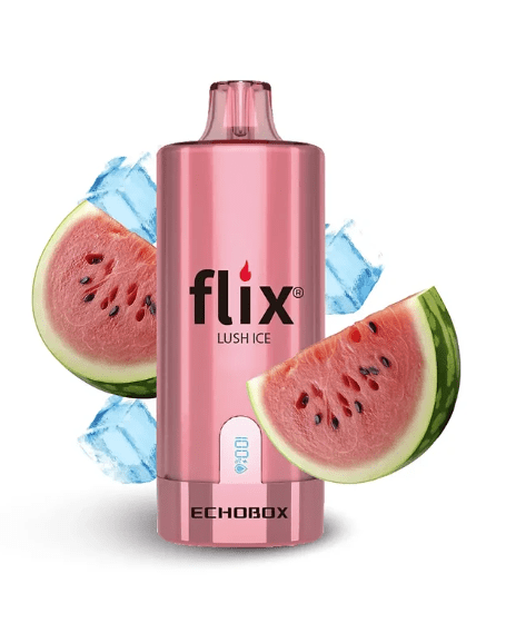 Flix Echobox 12000 Puffs6