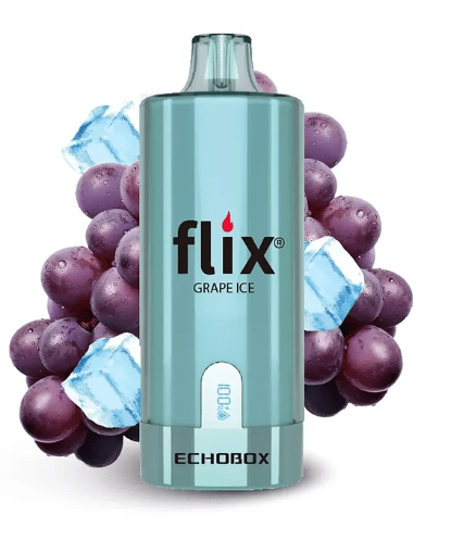 Flix Echobox 12000 Puffs7