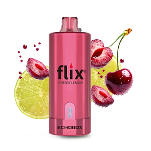 Flix Echobox 12000 Puffs9