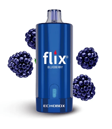 Flix Echobox 12000 Puffs11