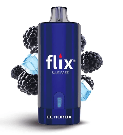 Flix Echobox 12000 Puffs12
