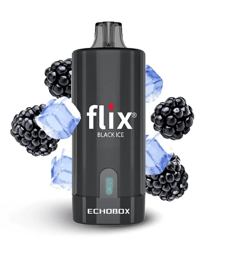 Flix Echobox 12000 Puffs13