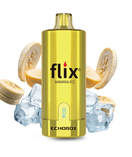 Flix Echobox 12000 Puffs14