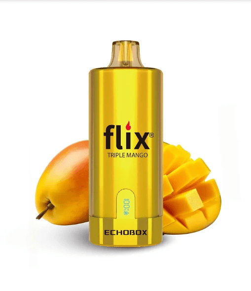 Flix Echobox 12000 Puffs