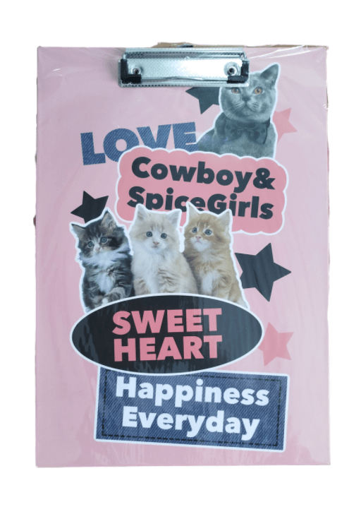 Lindo portapapeles gatitos1