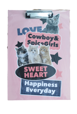 Lindo portapapeles gatitos1