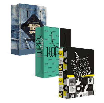 Bolsa de Regalo Masculino L Village1