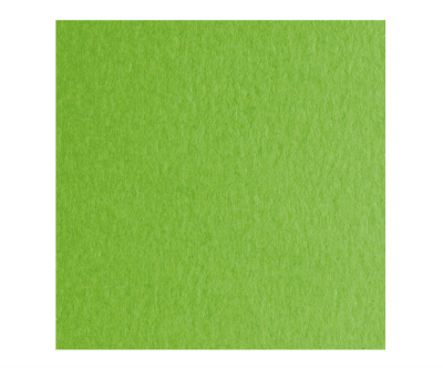 COLORE VERDE CLARO 50X70 200g Fabriano