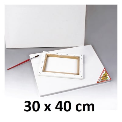 Bastidor De Madera Con Lienzo Tela 30 x 40 cm pintar Foska4