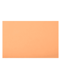 Goma Eva 40x60cm 2mm Piel Torre