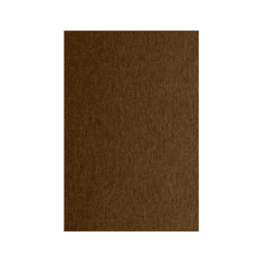 Cartulina Colore 50x70cm Café 200g Fabriano