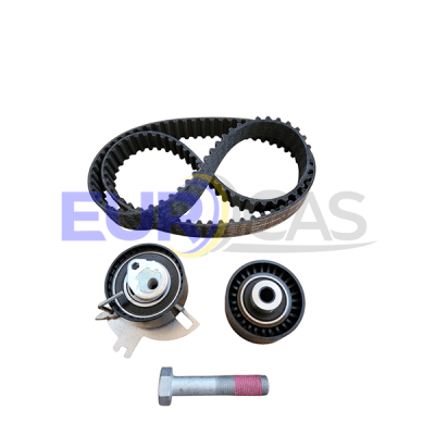 KIT DISTRIBUCION EXPERT IV/TRAVELLER 2.01