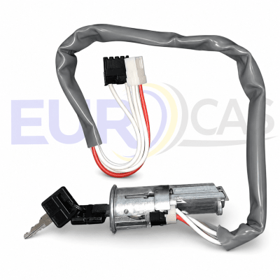 Chapa de Contacto Peugeot 205 / 309 con Llaves1