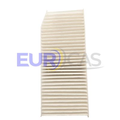 FILTRO DE AIRE DOKKER/CAPTUR 1.5 K9K 2012