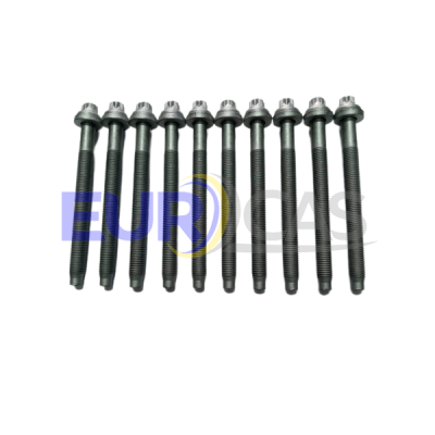 JUEGO PERNO CULATA EXPERT/BOXER/307/PICASSO HDI1