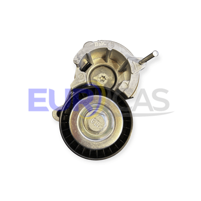 TENSOR ALTERNADOR COMPLETO CITROEN C5/XSARA PICASSO 2.0 16V