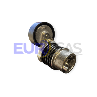 RODAMIENTO CORREA ACCESORIOS RENAULT CAPTUR