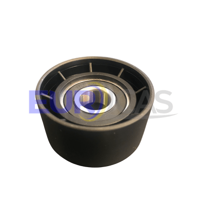 RODAMIENTO FIJO CORREA ACCESORIOS DUSTER 2.0 16V1