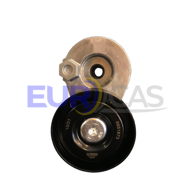 RODAMIENTO TENSOR ALTERNADOR MEGANE/SCENIC/LAGUNA II/DUSTER