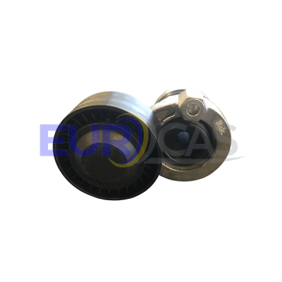 RODAMIENTO CORREA ACCESORIOS MEGANE II 1.6 16V