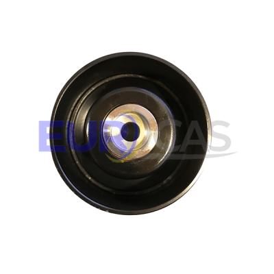 TENSOR CORREA ALTERNADOR INFERIOR C5 3.0 24V