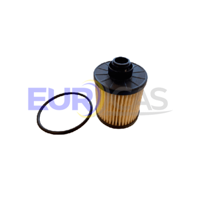 FILTRO PETROLEO 30081