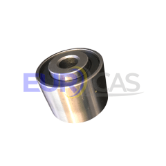 RODILLO TENSOR ALTERNADOR CHICO PARTNER/BERLINGO 1.9 DW8