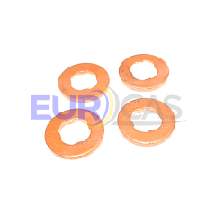 GOLILLA INYECTOR BIPPER/CITROEN NEMO 1.3 HDI F13DTE5