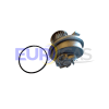 BOMBA DE AGUA POLEA 25 DTS CHEVROLET LUV 2.2 C22NE TFR 2000/20052